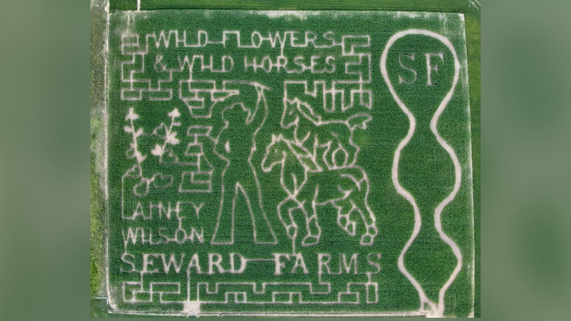 Get Lost with Lainey Wilson' in South Mississippi corn maze this